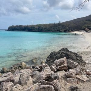 Meet your Posher, Sasha